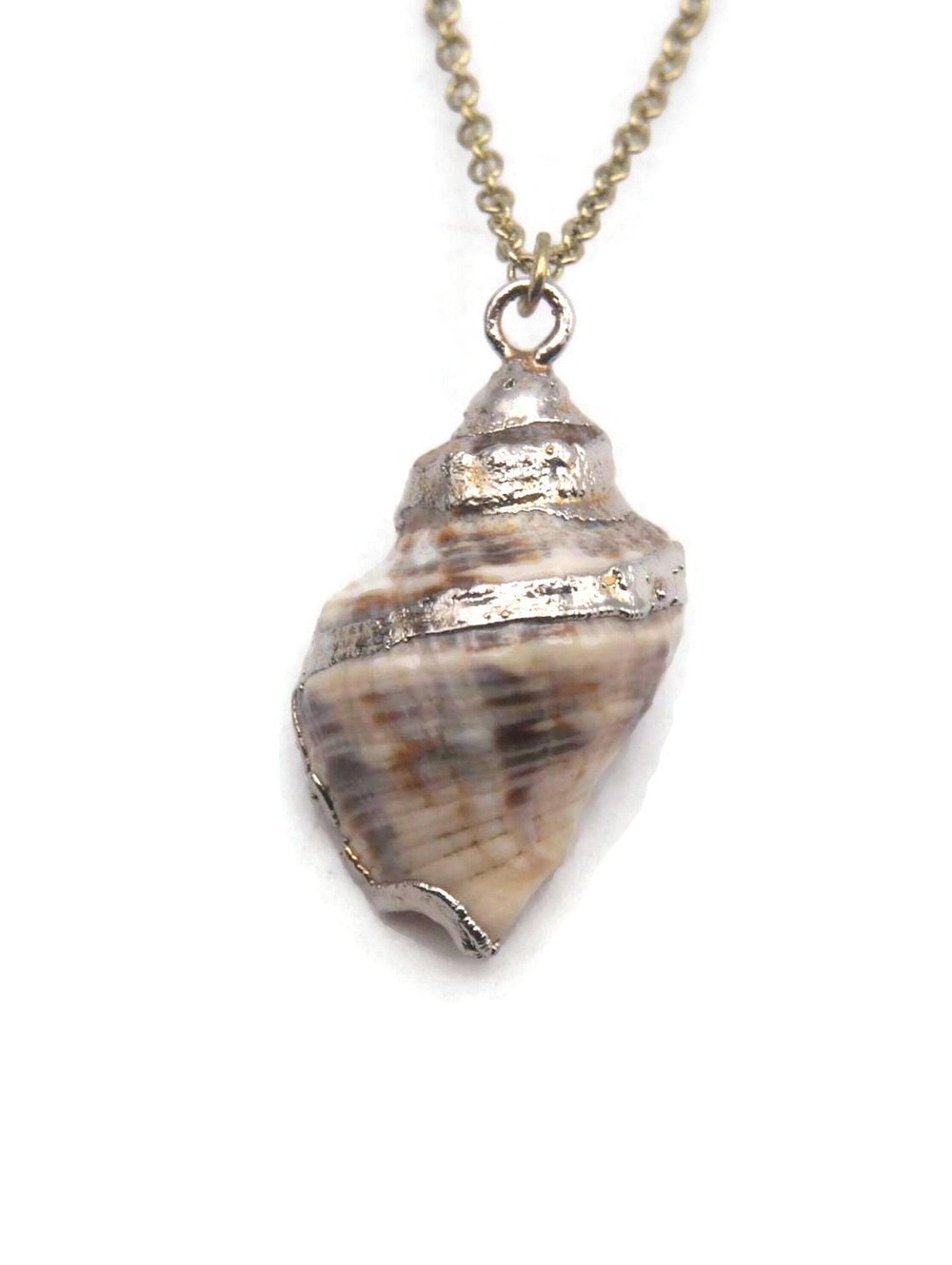 Small Genuine Seashell Pendant, Vintage Gilded Shell on 18" Gold Tone Chain.